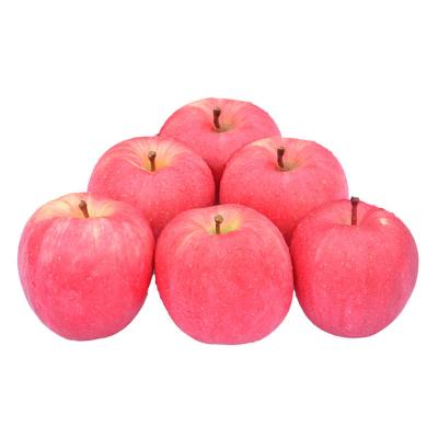 China 2021 Wholesale High Quality China Shaanxi Fuji Apple Natural Sweet Fruit From Fresh Trader for sale