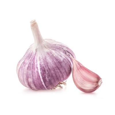 China China Fresh Supplies Increase Immunity Pure Organic Vegetable Red Garlic With Wholesale Price for sale