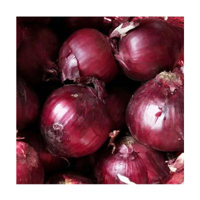 China Export Price Small Fresh High Quality Organic Vegetable Red Onion Suppliers In China for sale