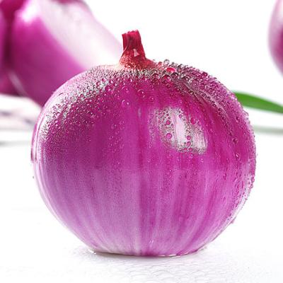 China 2021 Bulk Fresh Farm Organic Onion For Sale From Wholesalers for sale