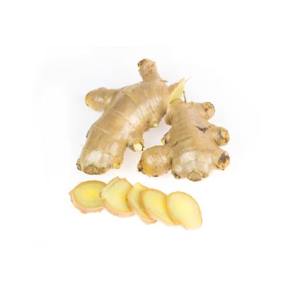 China Factory Sale New Chinese Native Culture Low Price Organic Yellow Dry Ginger for sale