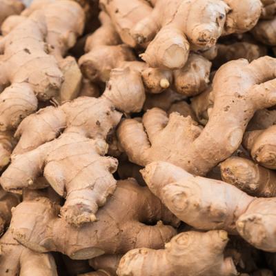 China Fresh hot sale and affordable wholesale price full of nutrition fresh delicious ginger for sale