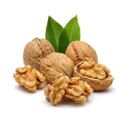 China Exquisite Walnut Structure Manufacturing Chinese Cheap Walnuts for sale