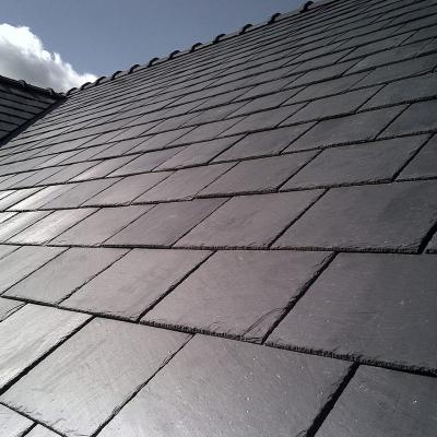 China China Modern Cheap Natural Black Roof Slate Stone Tile for sale