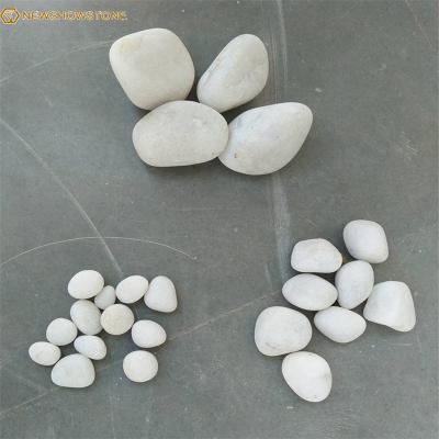 China Natural modern snow river white pebble stone for gardening for sale