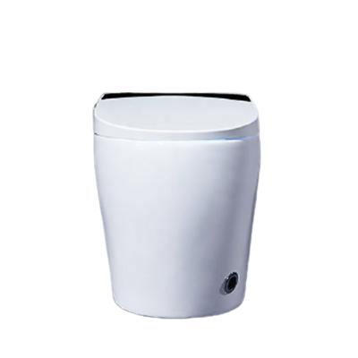 China Electronic Automatic Clean Smart Self Clean Toilet Tower Smart Toilet Tower Toilet Sanitary Ware Toilet for sale