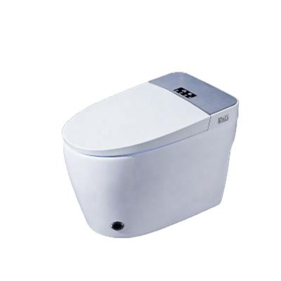 China One Piece Sanitary Dry Clean Sanitary Ware Self Self Operation Lavatories Luxury Full Auto Function Toilet for sale