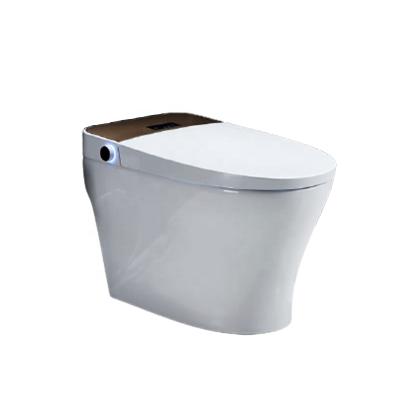 China Floor Mounted Multifunctional Toilet Sets Auto Operation Toilet Wc Smart Toilet for sale