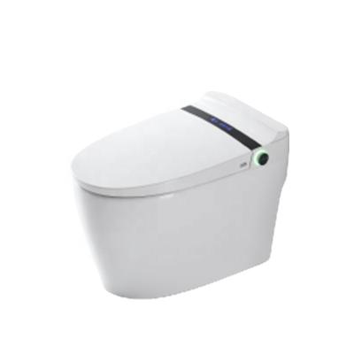 China Auto Operation Toilet Bidet Seat Intelligent Electric Smart Toilet Control Panel Smart Toilet With Wisdom Button for sale