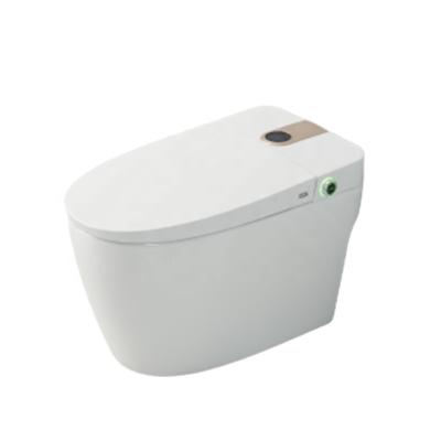 China Automatic Operation Wc Chinese Western Ceramic Smart Toilet Bowels Flush CE Certified Smart Automatic Cleaning Toilet for sale