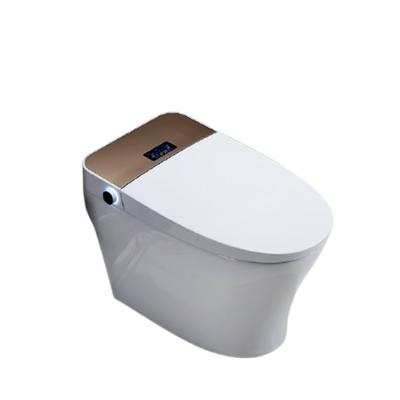 China Smart Automatic Electronic Flush Automatic Toilet Water Closet Home Toilet With CE Certified for sale