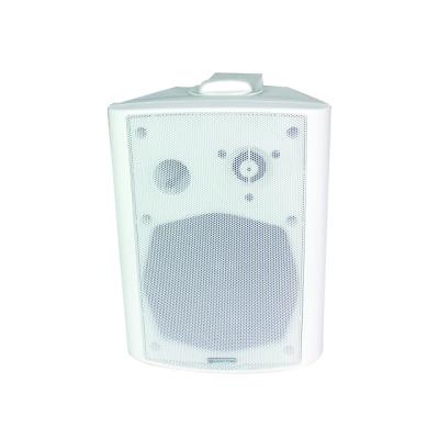 中国 ABS Lucky Tone Speaker 20/30/40 W New Product Idea 2019 Manufacturing The Speaker To Wall Speaker 販売のため