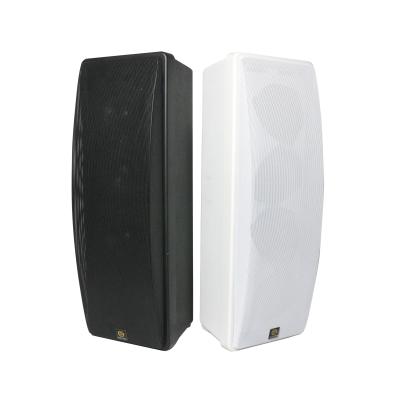 中国 ABS 402 Series II 120W To Full Range 8ohm Wall Mounted High Fidelity Column - Audio Driver Array Speaker Sound Good 販売のため