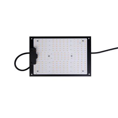 China Seed Starting New 100W LED Grow Light Garden Daylight LED Plant Lamp for sale