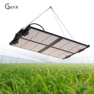 China Seed Starting Dimmable 400W Plant Growth Lamp Indoor Medicinal Plant Full Spectrum Greenhouse Led Grow Lamp Panel for sale