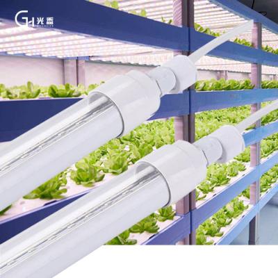 China Seed Starting 900mm Led IP65 Plant Grow Lamp Hydroponics Waterproof Vegetable Greenhouse Integrated Lamp for sale