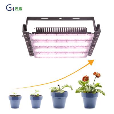 China Seed Starting Hot Sale 200W 400W 600W Landscape Modeling Full Spectrum Accelerated Indoor Plant Growing Plants Spectrum Accelerated Lamp for sale