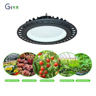 China Seed Starting High Quality Circular 200W LED Plant Growth Lamp High Power Plant Planting Lamp for sale