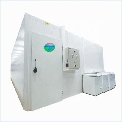 China Hot Selling Cold Storage Cold Rooms For Sale Malaysia Cold Room Cabinet For Cold Storage Plant Cold Storage Building Room for sale