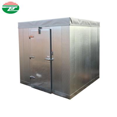 China Large Cooler Container Storage Capacity Room Fresh Food Vegetable And Fruit Walk In Freezer for sale