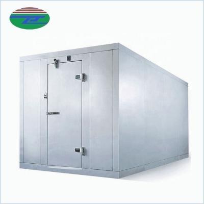 China Frozen Container Cheap Price Meat Fish Cold Storage Room Preservation Storage Frozen Storage for sale