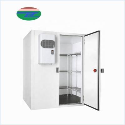 China Commercial Container Xiamen Jialiang Freezer Storage Walk In Freezer Storage Room For Meat for sale