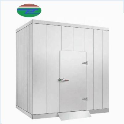 China Container Low Price Walk In Cold Meat Freezer Unit Cold Room Equipment For Food Storage for sale