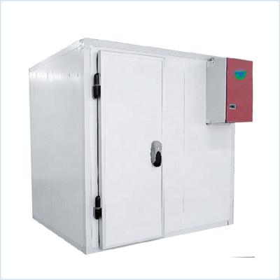 China Container Cold Room For Sausage Meat Freezer Storage Fish Quick Freezing Room for sale