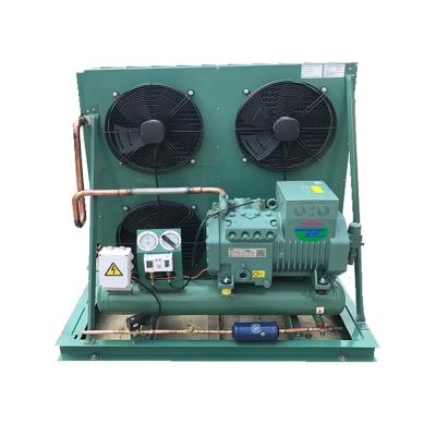 China Best Price Parts 10hp 15hp 25hp 30hp Refrigeration Blast Compressor Refrigeration Unit Ice Condensing Condensing Unit for sale