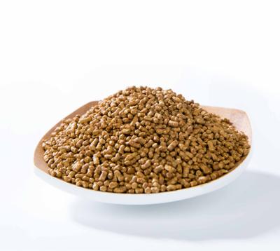 China Tea Health Safety And Nutrition Loose Granule Buckwheat Grain High Protein Round Tea for sale