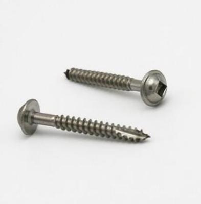 China Customize Stainless Steel Round Washer Pocket Hole Self Tapping Screw Roberson Head Wood Screws for sale