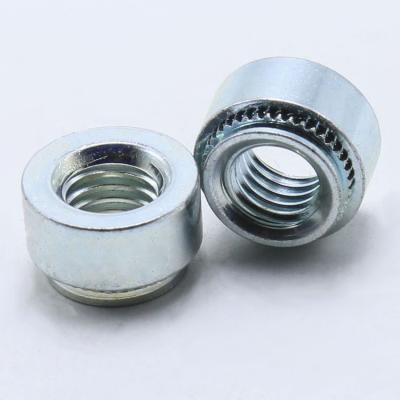 China Heavy Industry High Precision Stainless Steel White Rivet Self Hooking Nuts for sale