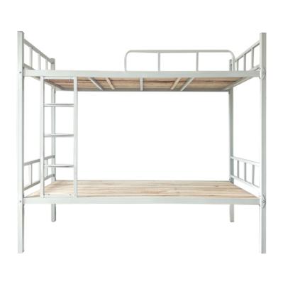 China Modern Wholesale Modern Adult Dormitory Staff Bunk Bed Student School Apartment Factory Iron Frame Double Bed for sale