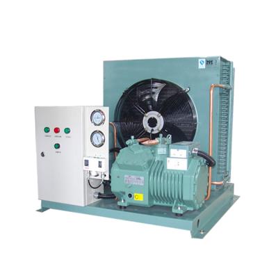 China Refrigeration Parts CE Certified Cold Room Semi Condensing Unit Compressor for sale