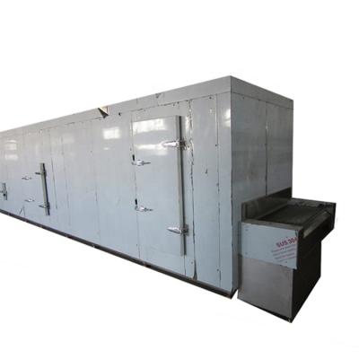 China Easy Operation Deep Freezing Different Frozen French Fries Tunnel Blast Freezer for sale