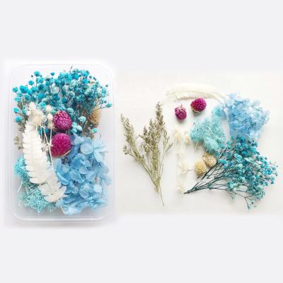 China DIY Decoration Craft Floral Art Dried Flowers For Resin With Tweezers Multiple Colored Pressed Dry Flower Real Leaves Mixed for sale