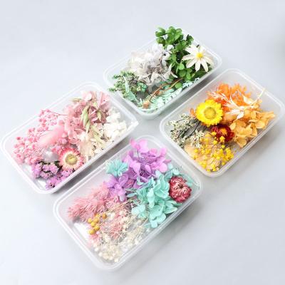 China Dried Flower DIY Art Flower Craft DIY Decoration Wedding Flower Home Decor Aromatherapy Accessories Candle Epoxy Resin Floral Dry Craft Pendant for sale