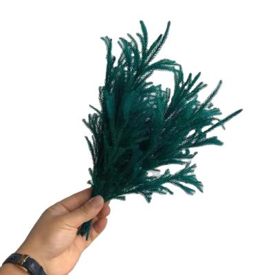 China 30g/box Real Touch Flower Decoration Eternal Lycopodium Serrata Preserved Stone Pine For Christmas Decoration 25CM for sale