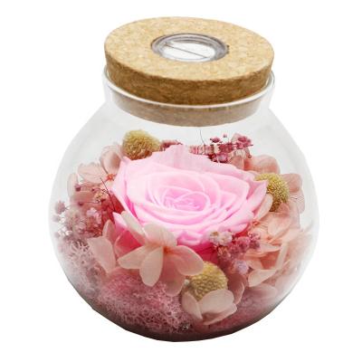 China 100% Real Fresh Roses Light Up Rose Flower Wish Bottle Lamp Gift For Friend Wife Led Lights For Birthday Gift, Christmas Gift for sale