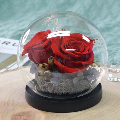 China Wholesale Real Rose Forever Real Lasting Preserved Rose Flower in Glass Dome for sale