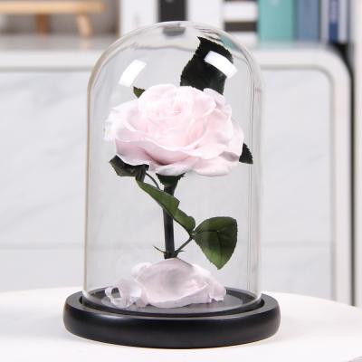 China 100% China Factory Fresh Real Roses Cheap Preserved Flowers Preserved Rose Glass Dome The Little Prince for sale