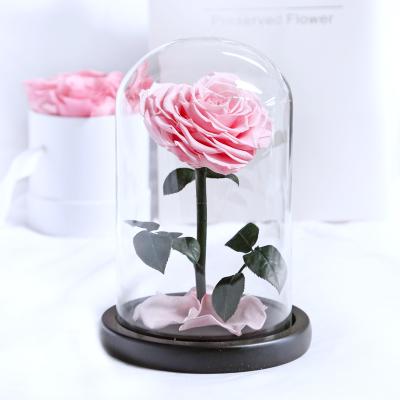 China Preserved Rose Christmas &Thanksgiving Gift For Her&Mom 2021 Slight Burn Preserved Rose In Glass Dome 15*30 for sale