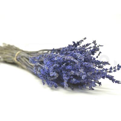 China Ins Style 100-120g Hot Selling Kept Lavender POS Package Lavender for sale