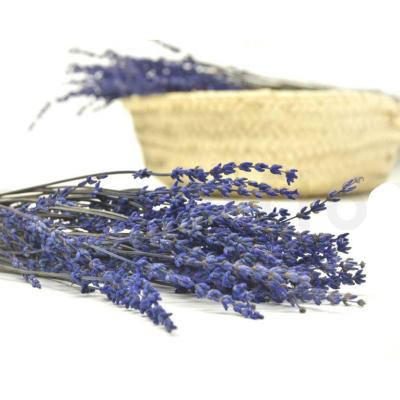 China INS Style Wholesale Decorative Lavender Preserved Lavender Preserved Flower for sale