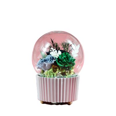 China Wholesale Preserved Flower Rose Music Box In Glass Box Roses For Birthday Gift Preserved Flower 12*12*16CM for sale