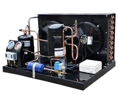 China Best Quality Hotels Best Price Top Quality Air Compressor Hot Selling Cooled Condensing Unit for sale