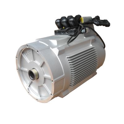 China Waterproof 4kW 48V Motor Electrico Para Carro Electric Vehicle Motor Price for sale