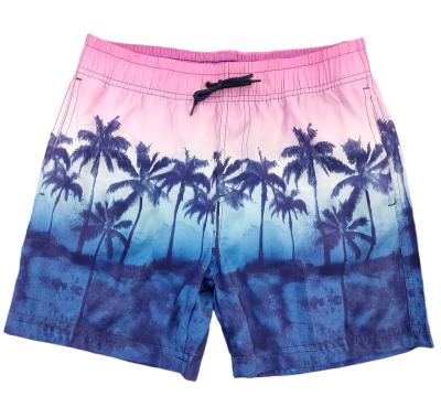 China Breathable Custom Blank Print Panel Shorts Boys Summer Beach Wear Vocation Wear Waistband Surfing Casual Elastic Swim Panties for sale