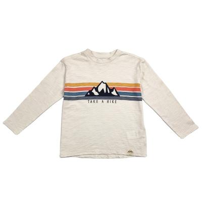 China Anti-pilling Kids Clothes Plain T-shirt for Boys Long Sleeved Cotton Children's Wear for sale