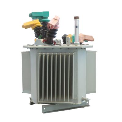 China Industrial Metal Core Power Supplies S20 10kv 3D Three Phase Oil Immersed Transformer for sale